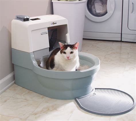 best cat litter for electric litter box|least scary automatic litter box.